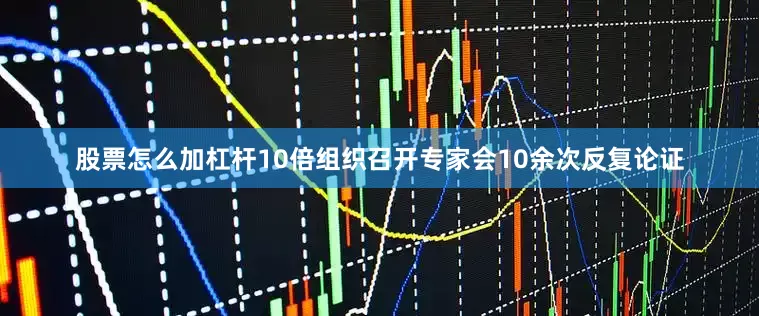 股票怎么加杠杆10倍组织召开专家会10余次反复论证