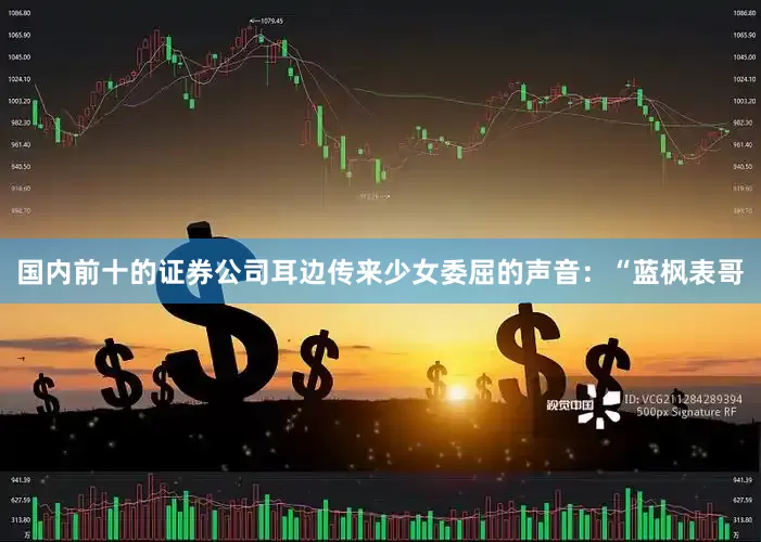 国内前十的证券公司耳边传来少女委屈的声音：“蓝枫表哥